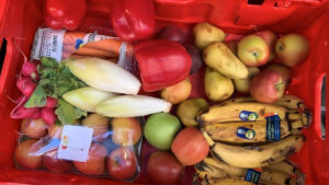 Kiste mit gerettetem Obst und Gemüse